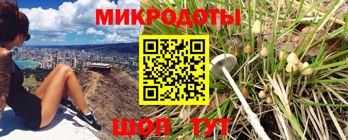 Джанкой  Псилоцибиновые грибы MAGIC MUSHROOMS  Галлюциногенные грибы ЛСД  купить закладку  Вход с VPN 
