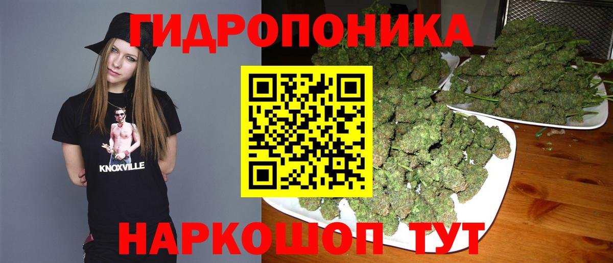 Шишки марихуана план  Вход с VPN  Конопля гибрид  Марихуана план  Джанкой 