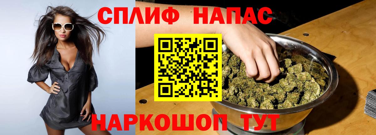 Каннабис планчик Джанкой
